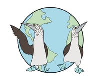 Boobie Logo - Globe